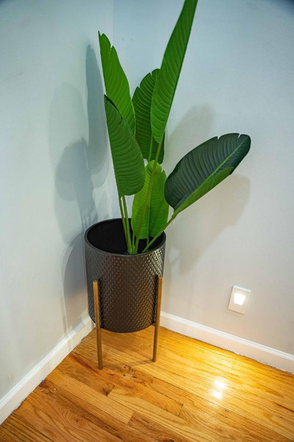 4 Bed Luxury Apt Long Or Short Stay New York Eksteriør billede